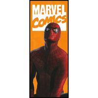 Fotobehang - Spider-Man Comic 100x250cm - Vliesbehang - thumbnail