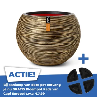 Vaas bol rib nl ii d62xh48 zwart gd