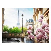Ravensburger Legpuzzel lente in parijs, 1000st.