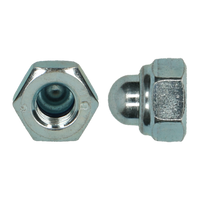 pgb-Europe PGB-FASTENERS | Zelfborgende dopmoer DIN 986 M20 Zn | 25 st 98660102003