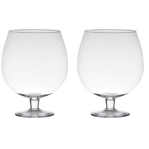 2x stuks luxe stijlvolle Brandy bloemenvaas/bloemenvazen 24 cm transparant glas - Vazen