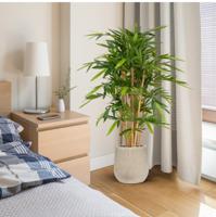 Bamboe deluxe kunstplant 120cm