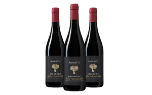 Antica Viti Amarone della Valpolicella