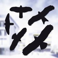 Swissinno Birdprotection Raamsticker Functies: Afschrikking 5 stuk(s)