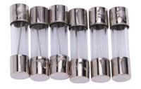 Dresselhaus Glass fuses 5x20mm for car radio 10a/6 piece