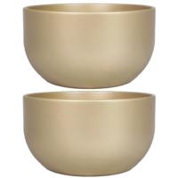 Floran Bloempot - 2x stuks - schaal - parelgoud - keramiek - binnen - 26 x 14 cm