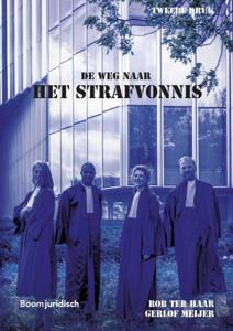 De weg naar het strafvonnis (Hardback)