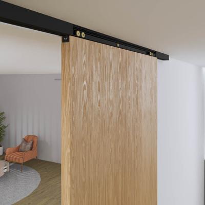 Xperta set 4m rail - Zwart - Plafond opbouw - Enkele deur - Dubbele softclose - inbouw manual fix - Set Eindkappen