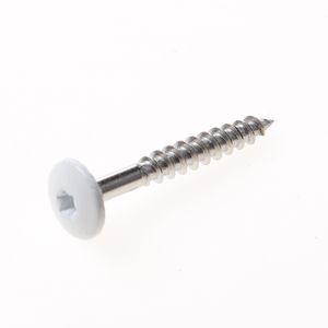 Kleurkopschroef rvs creme ral9001 4,8x38 t20