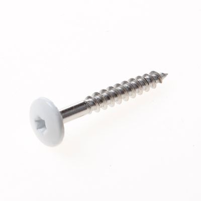 Kleurkopschroef rvs creme ral9001 4,8x38 t20 Kleurkopschroef rvs creme ral9001 4,8x38 t20