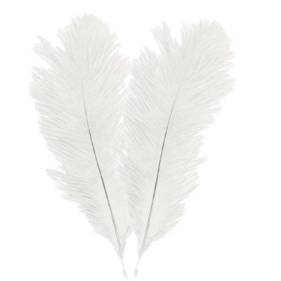 Struisvogelveren/sierveren - 2x - creme wit - 30-35 cm - decoratie/hobbymateriaal Struisvogelveren/sierveren - 2x - creme wit - 30-35 cm - decoratie/hobbymateriaal