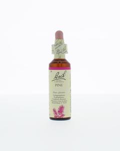 Bach Pine/den