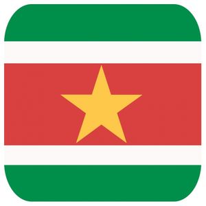 60x Onderzetters voor glazen met Surinaamse vlag   -