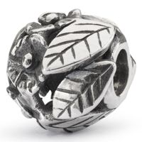Trollbeads TAGBE-30193 Kraal Bloem van Kracht zilver Trollbeads TAGBE-30193 Kraal Bloem van Kracht zilver