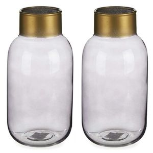 Bloemenvazen 2x stuks - luxe decoratie glas - grijs/goud - 12 x 24 cm