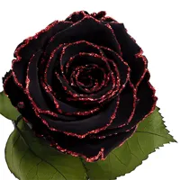 Longlife roos zwart rode glitter Longlife roos zwart rode glitter