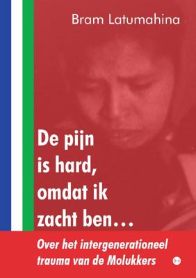 De pijn is hard, omdat ik zacht ben… (Paperback)