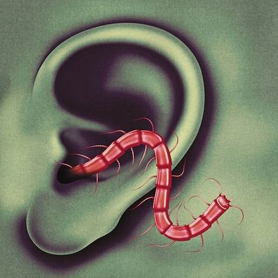 An Odd Entrances - CD (0814867022736) An Odd Entrances - CD (0814867022736)