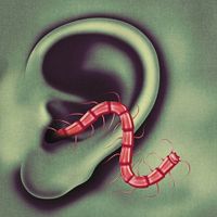 An Odd Entrances - CD (0814867022736) - thumbnail