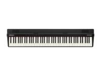 Roland GO:PIANO88 Roland GO:PIANO88