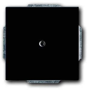Busch-Jaeger 2CKA001710A3900 Afdekking Diepzwart (RAL 9005), Zwart 1 stuk(s)
