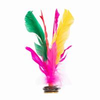 SET OF 6 FOOTBALL INDIAKA MULTICOLOR PLUME