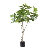 Kunst Groene vijgenboom in pot L