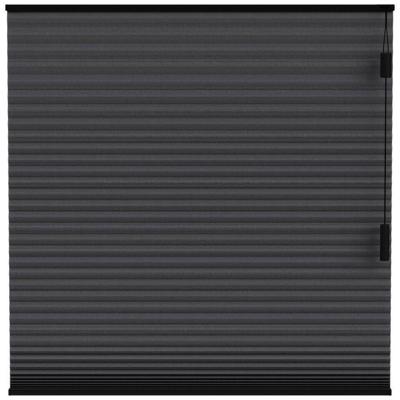 Leen Bakker - Fenstr Plisségordijn Toronto Dubbel 25mm Lichtdoorlatend - (15021) - Polyester - Zwart - 120x10x10 Cm