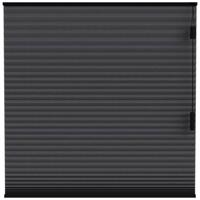 Leen Bakker - Fenstr Plisségordijn Toronto Dubbel 25mm Lichtdoorlatend - (15021) - Polyester - Zwart - 120x10x10 Cm