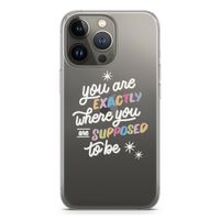 Right Place: iPhone 13 Pro Transparant Hoesje