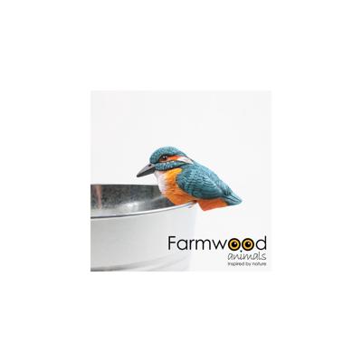 Pothanger vogel ijsvogel
