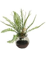 Fern in glass pot green 20cm