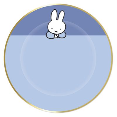 Haza Witbaard Bordjes nijntje blauw, 8st.
