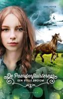 Een stille droom - Gina Mayer - ebook