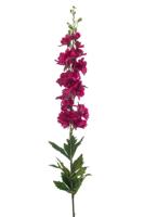 Delphinium spray RT fuchsia 90 cm - Emerald
