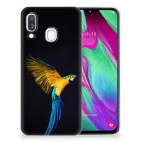 Samsung Galaxy A40 | TPU Hoesje | Papegaai