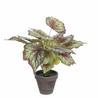 Mica Decorations Kunstplant - begonia - rood - in pot - 38 x 40 cm - kunstplanten