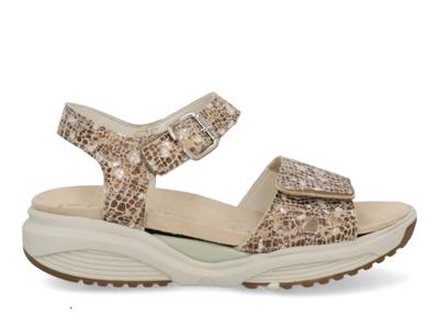 Xsensible Scala 30312.5 428 sand combi Beige maat 38