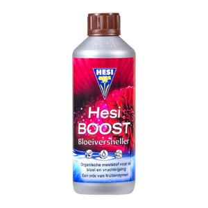 Hesi Hesi Boost