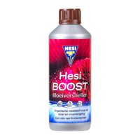 Hesi Hesi Boost