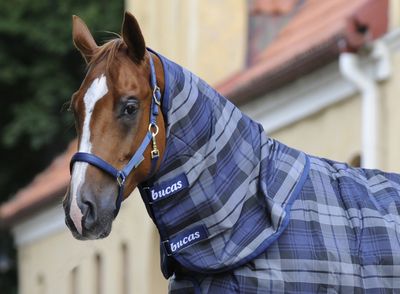 Bucas Celtic Combi Neck