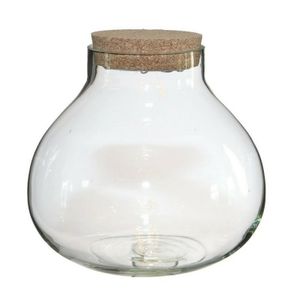 Pot/vaas van glas voor planten ecosysteem - deksel met LED verlichting - D20 x H20 cm