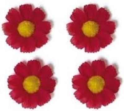 Basil flower 4 magrietjes rood 50188