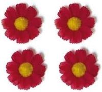 Basil flower 4 magrietjes rood 50188