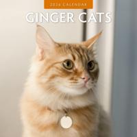 Rode Katten Kalender 2026