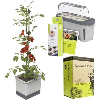 Gusta Garden Tomaten-Starter-Set 5-teilig, hellgrau TOM TOMATO / HARRY HERBS / Zubehör / W07079 Plantcontainer