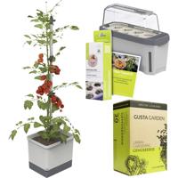 Gusta Garden Tomaten-Starter-Set 5-teilig, hellgrau TOM TOMATO / HARRY HERBS / Zubehör / W07079 Plantcontainer