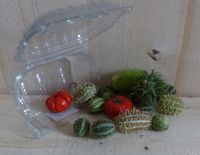 Deco fruit herfst in bakje - Warentuin natuurlijk
