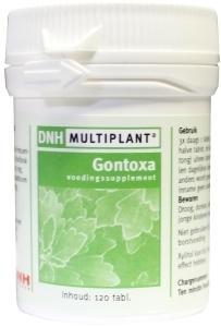DNH Gontoxa multiplant