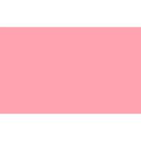 Roze vlag - 150 x 90 cm - decoratie vlag in de kleur roze - polyester - met ophangogen